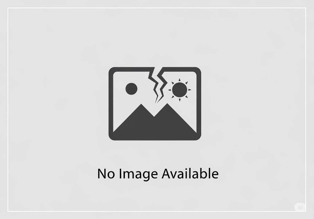 The Hidden Landscape of Touch: Unveiling the 3D World of Human Touch Domes